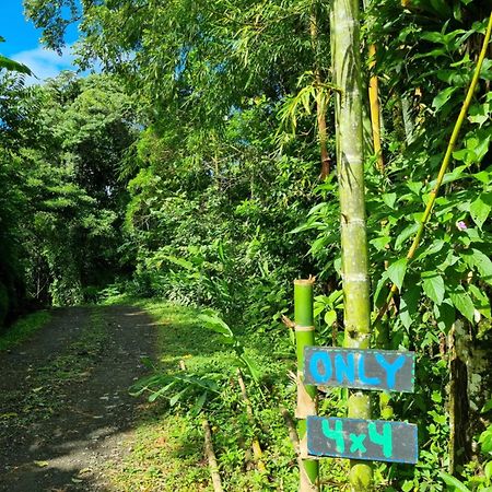 Vulkan Arenal Amazing View Lodge 4 Wd El Castillo Zewnętrze zdjęcie