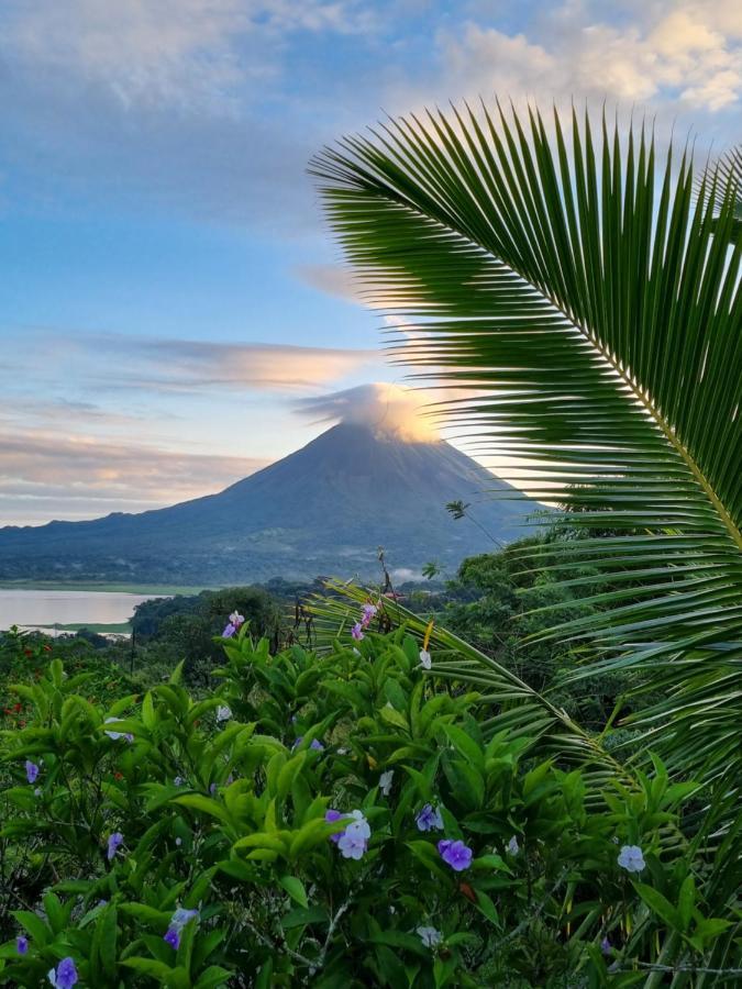Vulkan Arenal Amazing View Lodge 4 Wd El Castillo Zewnętrze zdjęcie