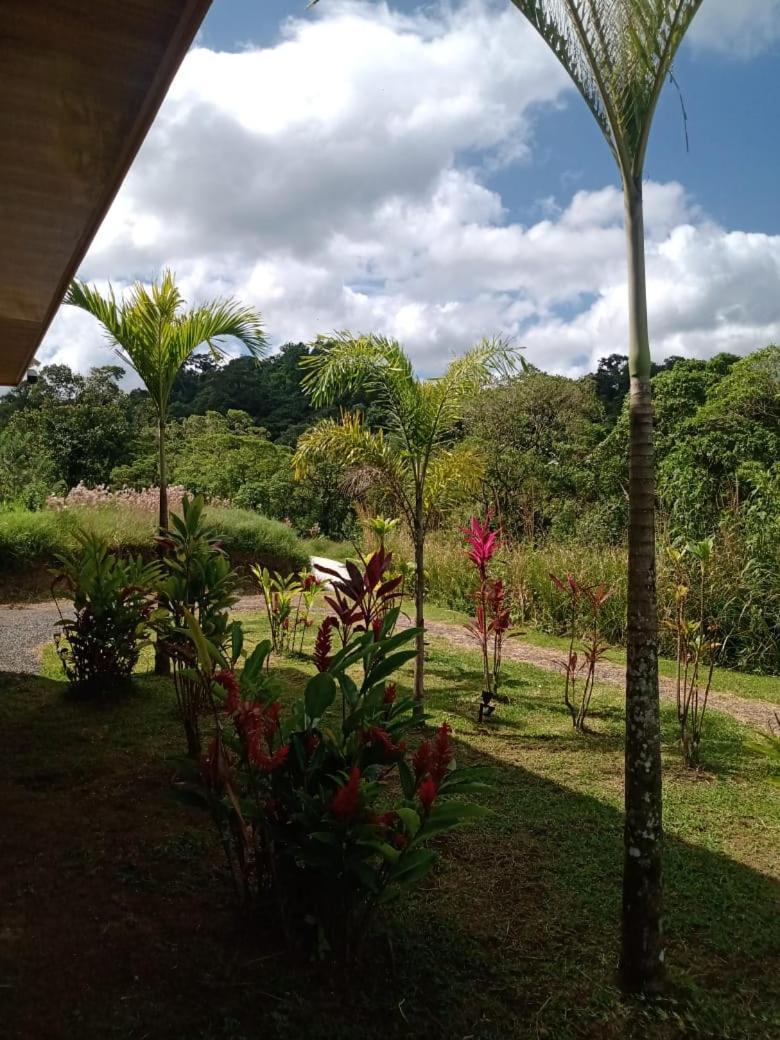Vulkan Arenal Amazing View Lodge 4 Wd El Castillo Zewnętrze zdjęcie